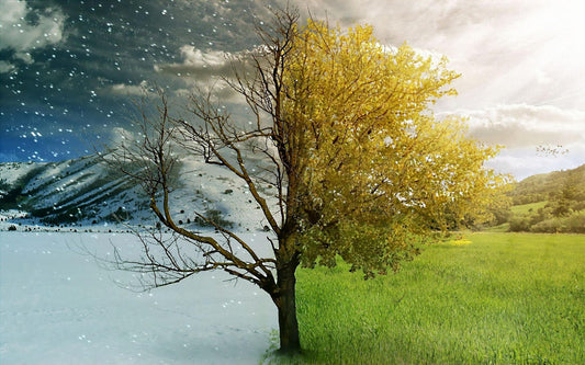 Comment se parfumer au rythme des saisons ?